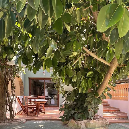 La Paradiso Apartment *