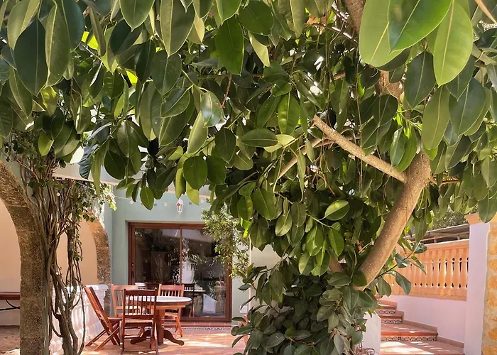 La Paradiso Apartment *